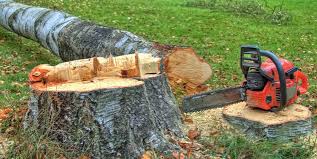 Best Tree Mulching  in Vista Center, NJ