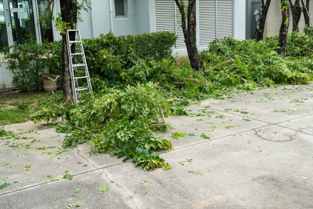 Best Lawn Watering Services  in Vista Center, NJ